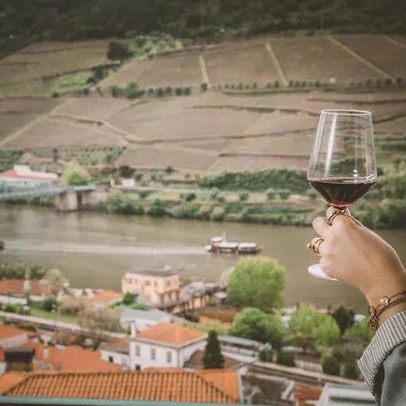 Douro Panorama Valley Holiday home *